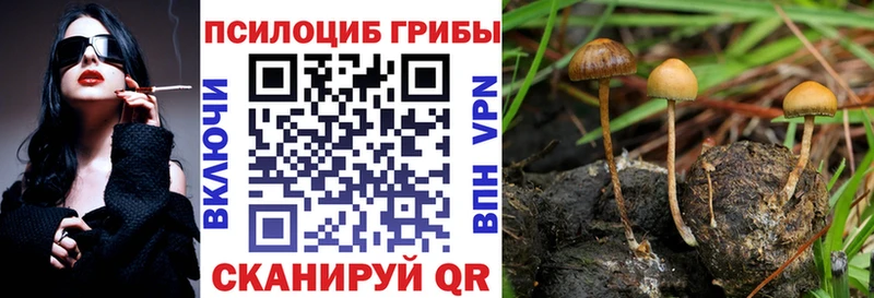 купить закладку Лыткарино Псилоцибиновые грибы GOLDEN TEACHER